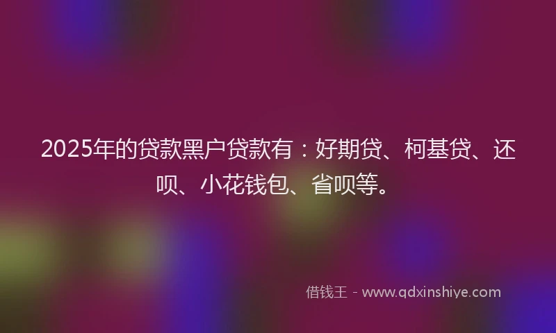 2025年的贷款黑户贷款有：好期贷、柯基贷、还呗、小花钱包、省呗等。