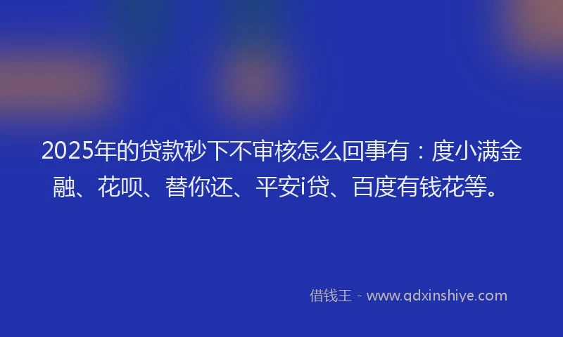 2025年的贷款秒下不审核怎么回事有：度小满金融、花呗、替你还、平安i贷、百度有钱花等。