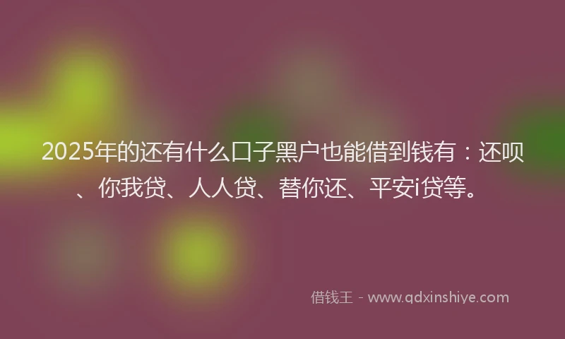 2025年的还有什么口子黑户也能借到钱有：还呗、你我贷、人人贷、替你还、平安i贷等。