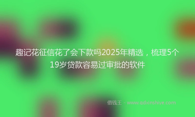趣记花征信花了会下款吗2025年精选，梳理5个19岁贷款容易过审批的软件
