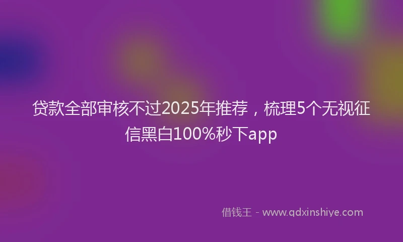 贷款全部审核不过2025年推荐，梳理5个无视征信黑白100%秒下app
