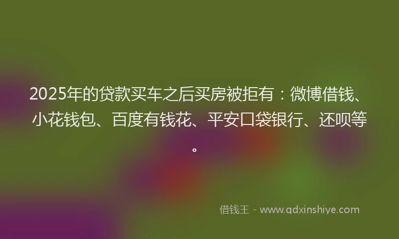 2025年的贷款买车之后买房被拒有：微博借钱、小花钱包、百度有钱花、平安口袋银行、还呗等。