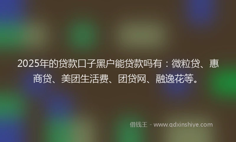 2025年的贷款口子黑户能贷款吗有：微粒贷、惠商贷、美团生活费、团贷网、融逸花等。