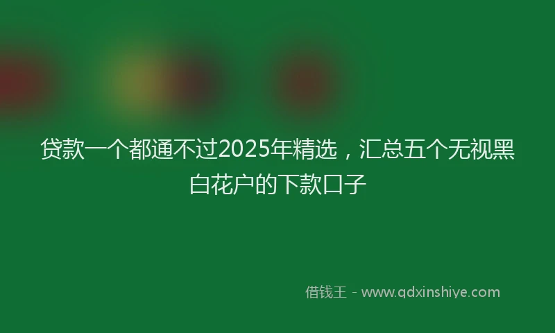 贷款一个都通不过2025年精选，汇总五个无视黑白花户的下款口子