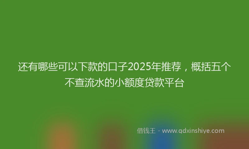 还有哪些可以下款的口子2025年推荐，概括五个不查流水的小额度贷款平台