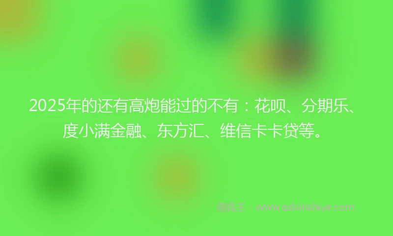 2025年的还有高炮能过的不有：花呗、分期乐、度小满金融、东方汇、维信卡卡贷等。