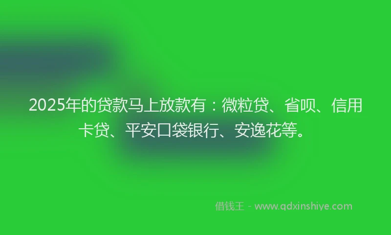 2025年的贷款马上放款有：微粒贷、省呗、信用卡贷、平安口袋银行、安逸花等。
