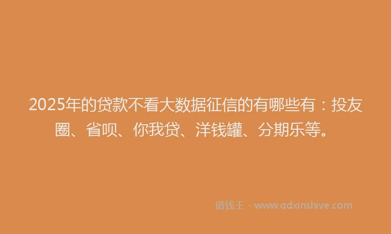2025年的贷款不看大数据征信的有哪些有：投友圈、省呗、你我贷、洋钱罐、分期乐等。