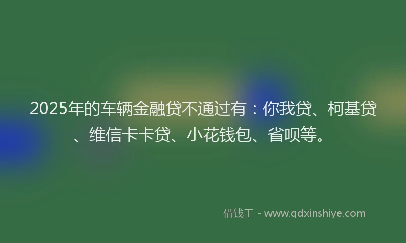 2025年的车辆金融贷不通过有：你我贷、柯基贷、维信卡卡贷、小花钱包、省呗等。