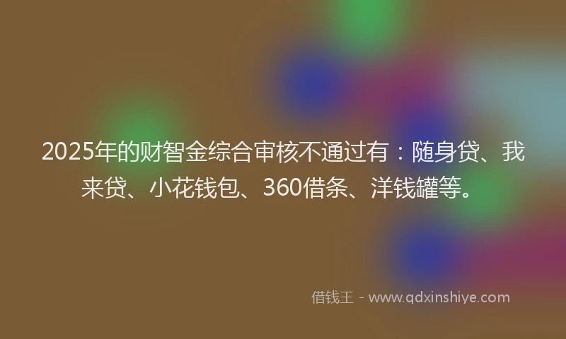 2025年的财智金综合审核不通过有：随身贷、我来贷、小花钱包、360借条、洋钱罐等。