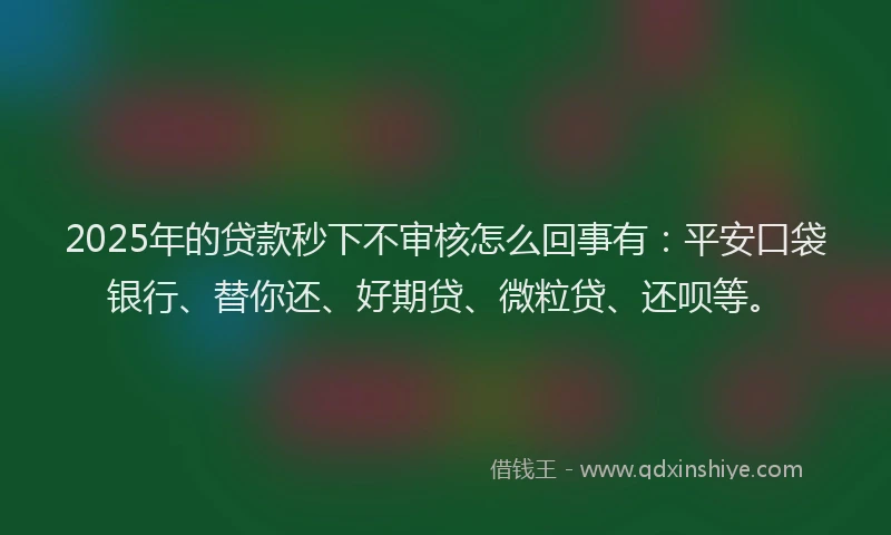 2025年的贷款秒下不审核怎么回事有：平安口袋银行、替你还、好期贷、微粒贷、还呗等。