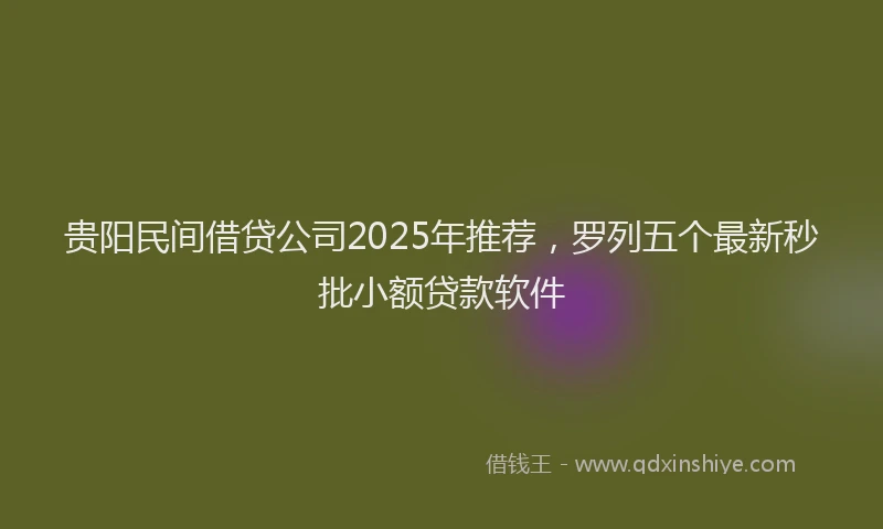 贵阳民间借贷公司2025年推荐，罗列五个最新秒批小额贷款软件
