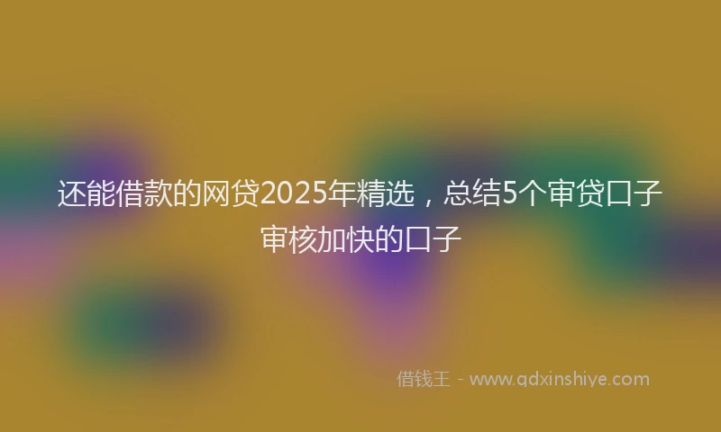 还能借款的网贷2025年精选，总结5个审贷口子审核加快的口子