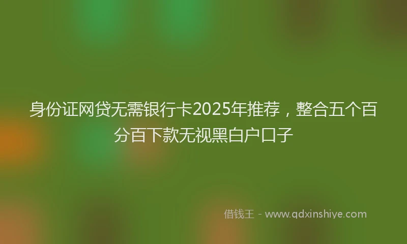 身份证网贷无需银行卡2025年推荐，整合五个百分百下款无视黑白户口子