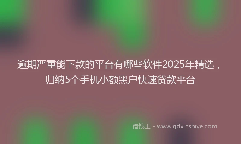逾期严重能下款的平台有哪些软件2025年精选，归纳5个手机小额黑户快速贷款平台