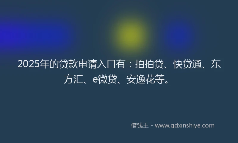 2025年的贷款申请入口有：拍拍贷、快贷通、东方汇、e微贷、安逸花等。