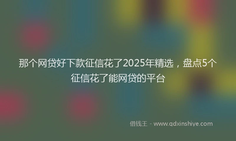 那个网贷好下款征信花了2025年精选，盘点5个征信花了能网贷的平台