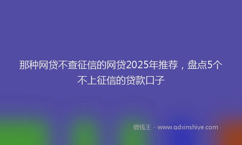那种网贷不查征信的网贷2025年推荐，盘点5个不上征信的贷款口子
