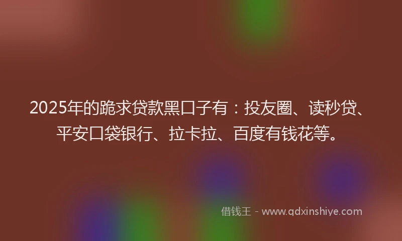 2025年的跪求贷款黑口子有：投友圈、读秒贷、平安口袋银行、拉卡拉、百度有钱花等。