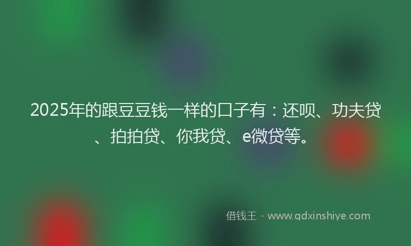 2025年的跟豆豆钱一样的口子有：还呗、功夫贷、拍拍贷、你我贷、e微贷等。