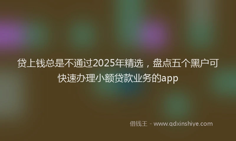 贷上钱总是不通过2025年精选，盘点五个黑户可快速办理小额贷款业务的app