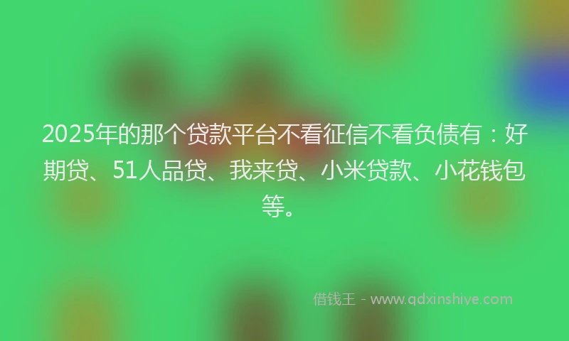2025年的那个贷款平台不看征信不看负债有：好期贷、51人品贷、我来贷、小米贷款、小花钱包等。