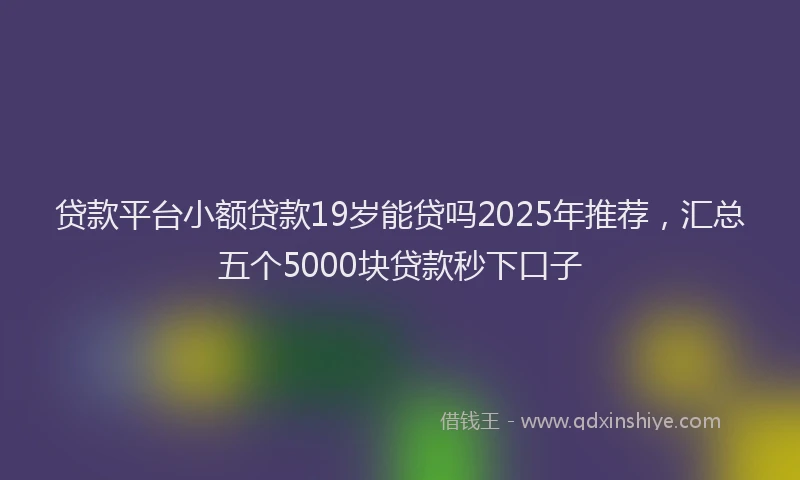 贷款平台小额贷款19岁能贷吗2025年推荐，汇总五个5000块贷款秒下口子