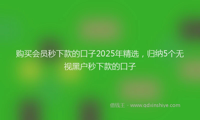 购买会员秒下款的口子2025年精选，归纳5个无视黑户秒下款的口子