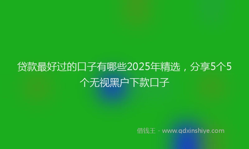 贷款最好过的口子有哪些2025年精选，分享5个5个无视黑户下款口子
