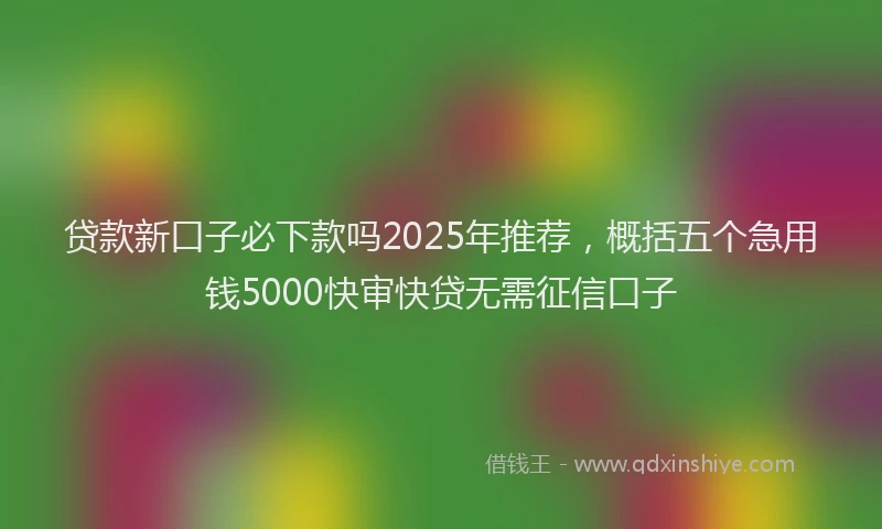 贷款新口子必下款吗2025年推荐，概括五个急用钱5000快审快贷无需征信口子