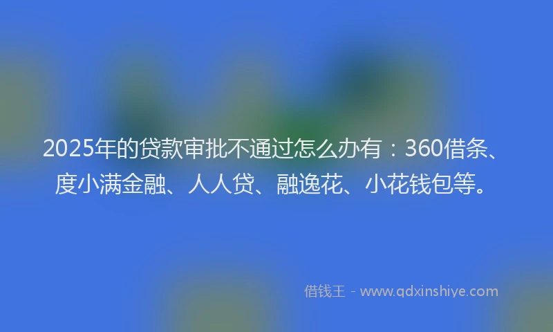 2025年的贷款审批不通过怎么办有：360借条、度小满金融、人人贷、融逸花、小花钱包等。