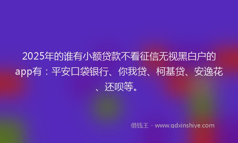 2025年的谁有小额贷款不看征信无视黑白户的app有：平安口袋银行、你我贷、柯基贷、安逸花、还呗等。