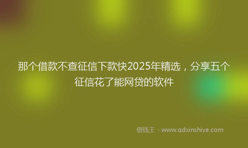 那个借款不查征信下款快2025年精选，分享五个征信花了能网贷的软件