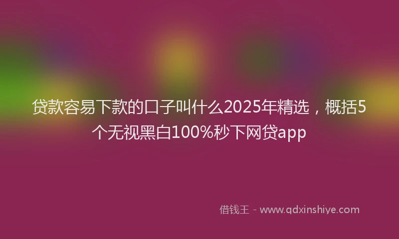 贷款容易下款的口子叫什么2025年精选，概括5个无视黑白100%秒下网贷app