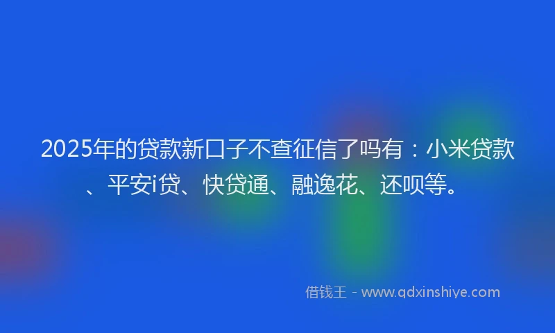 2025年的贷款新口子不查征信了吗有：小米贷款、平安i贷、快贷通、融逸花、还呗等。