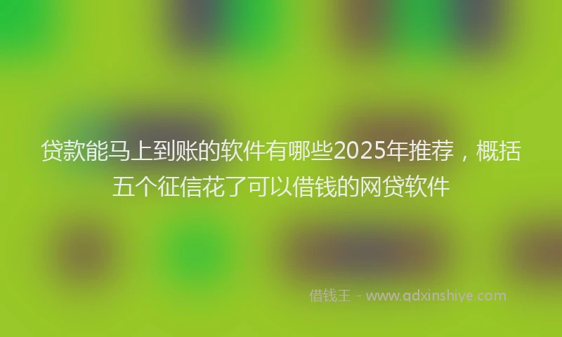 贷款能马上到账的软件有哪些2025年推荐，概括五个征信花了可以借钱的网贷软件
