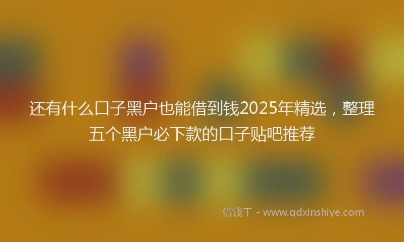 还有什么口子黑户也能借到钱2025年精选，整理五个黑户必下款的口子贴吧推荐
