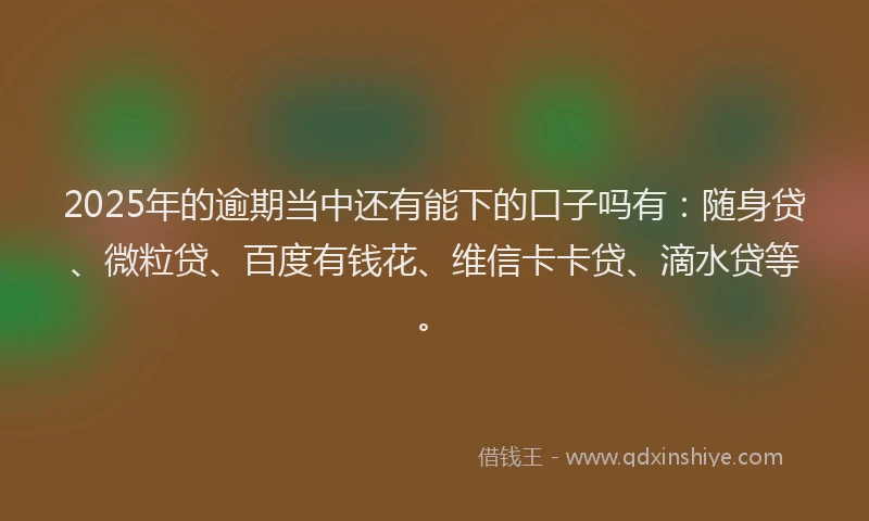 2025年的逾期当中还有能下的口子吗有：随身贷、微粒贷、百度有钱花、维信卡卡贷、滴水贷等。
