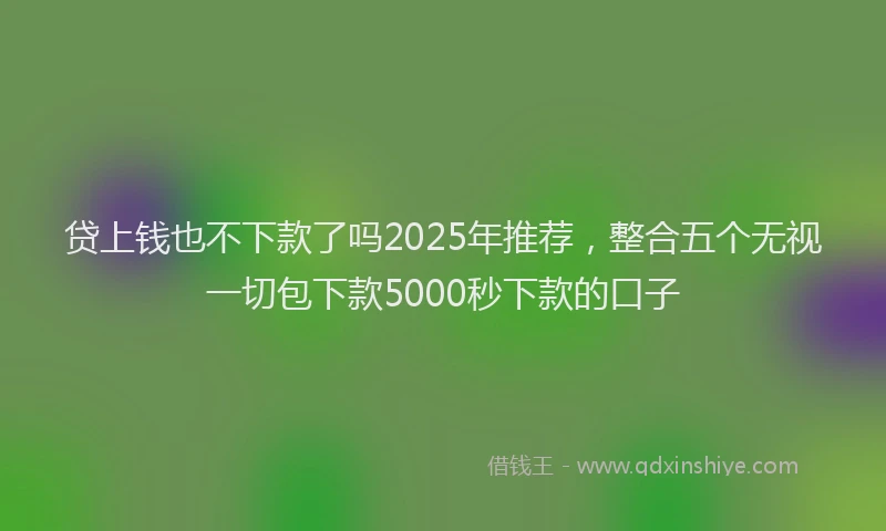 贷上钱也不下款了吗2025年推荐，整合五个无视一切包下款5000秒下款的口子