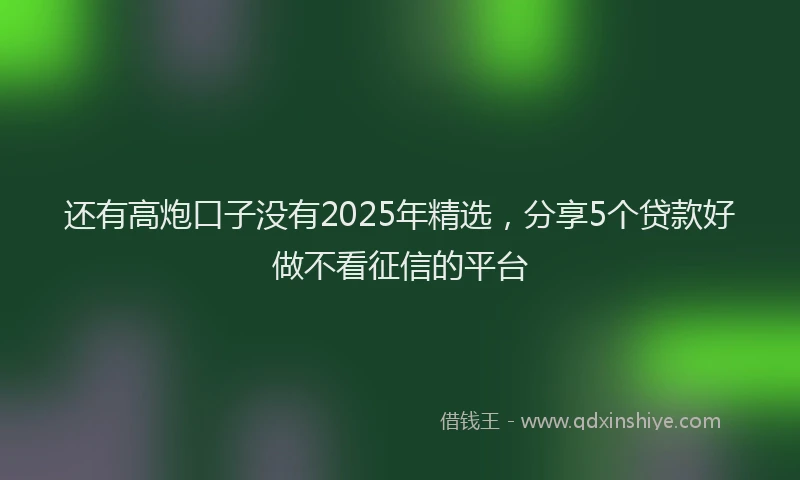 还有高炮口子没有2025年精选，分享5个贷款好做不看征信的平台