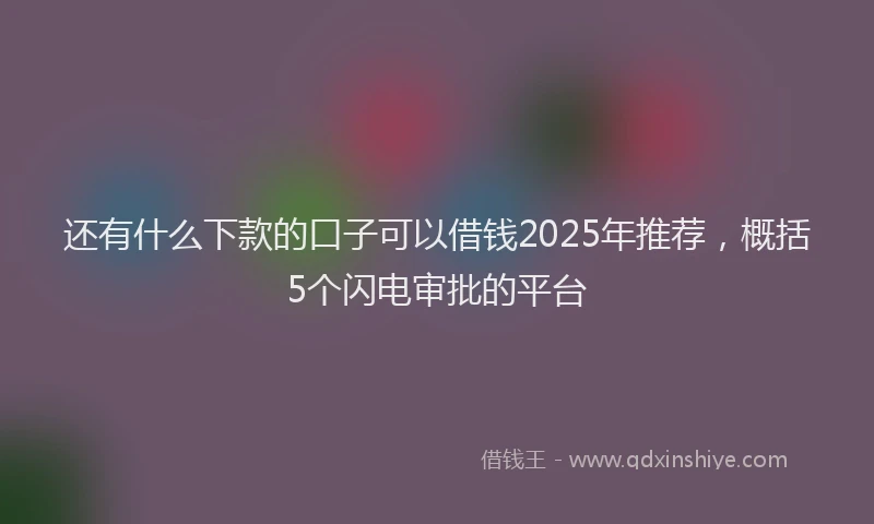还有什么下款的口子可以借钱2025年推荐，概括5个闪电审批的平台