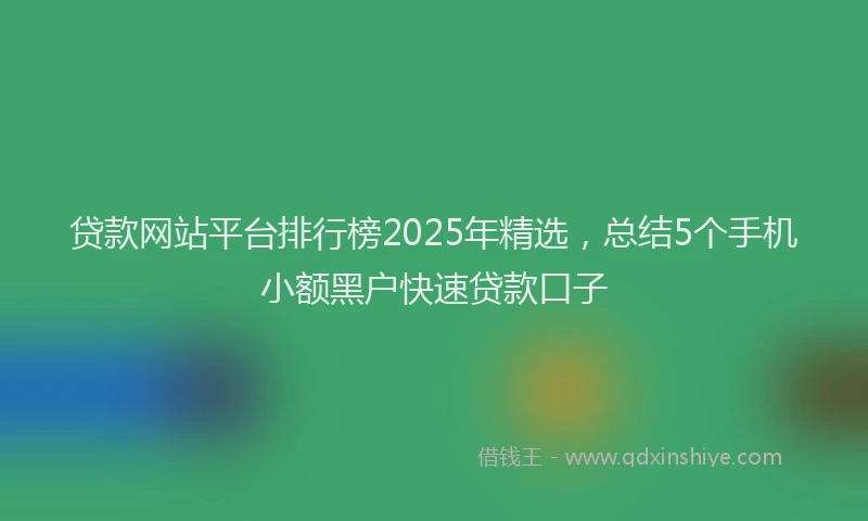 贷款网站平台排行榜2025年精选，总结5个手机小额黑户快速贷款口子