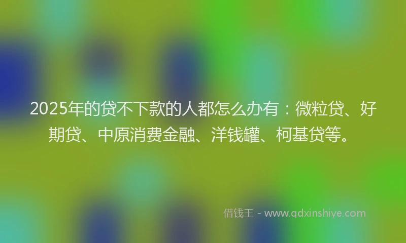 2025年的贷不下款的人都怎么办有：微粒贷、好期贷、中原消费金融、洋钱罐、柯基贷等。
