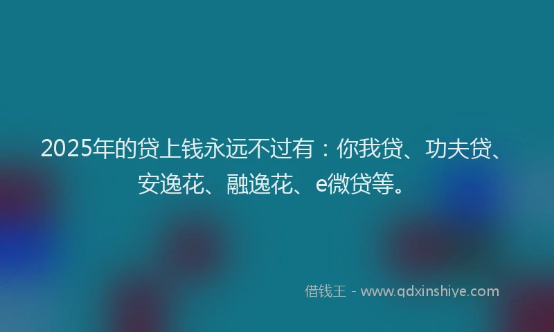 2025年的贷上钱永远不过有：你我贷、功夫贷、安逸花、融逸花、e微贷等。