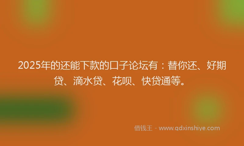 2025年的还能下款的口子论坛有：替你还、好期贷、滴水贷、花呗、快贷通等。