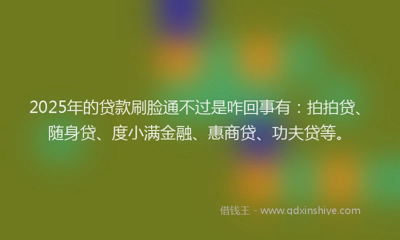 2025年的贷款刷脸通不过是咋回事有：拍拍贷、随身贷、度小满金融、惠商贷、功夫贷等。