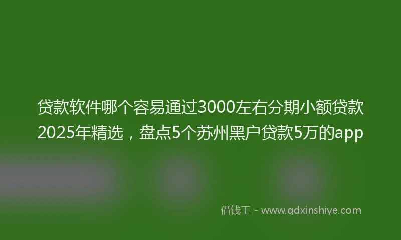 贷款软件哪个容易通过3000左右分期小额贷款2025年精选，盘点5个苏州黑户贷款5万的app