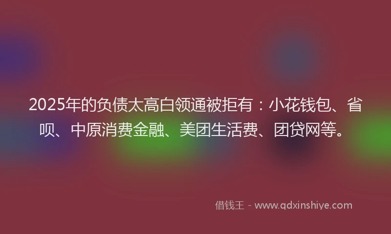 2025年的负债太高白领通被拒有：小花钱包、省呗、中原消费金融、美团生活费、团贷网等。