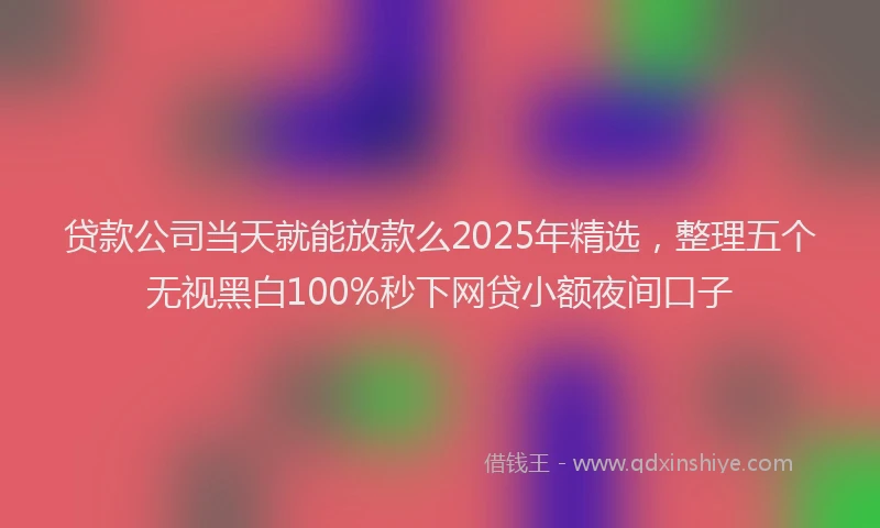 贷款公司当天就能放款么2025年精选，整理五个无视黑白100%秒下网贷小额夜间口子