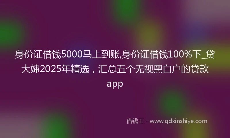 身份证借钱5000马上到账,身份证借钱100%下_贷大婶2025年精选，汇总五个无视黑白户的贷款app